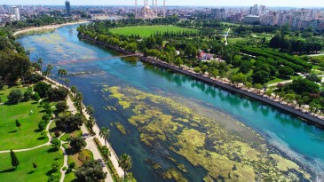 Seyhan Nehri’nin suları kesildi: “Yüzey yosunlarla kaplı…”