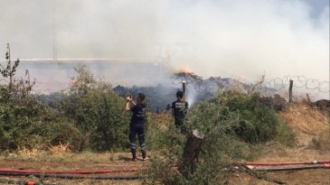 Adana’da orman ürünleri satılan iş yerinde çıkan yangın söndürüldü