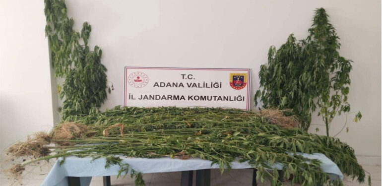 Adana’da uyuşturucu operasyonu