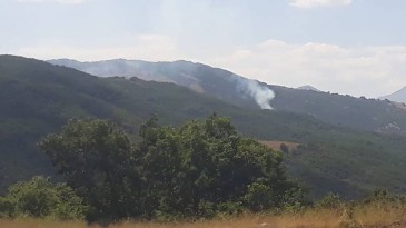 Kırmızı tavşan Tunceli’de görüntülendi