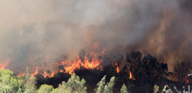 Mersin’de yeni orman yangını çıktı