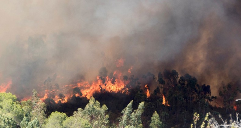 Mersin’de yeni orman yangını çıktı