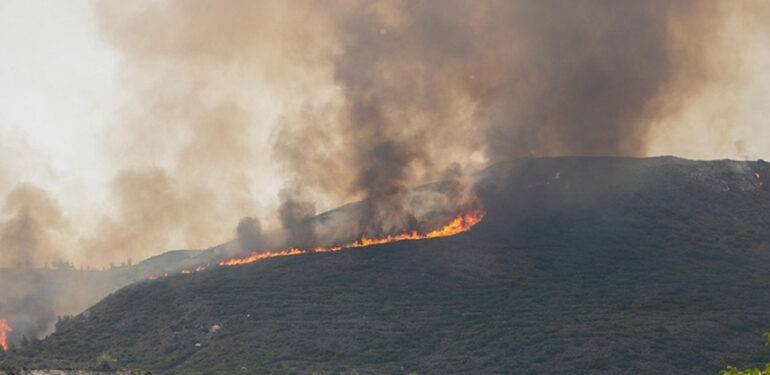 Yunanistan’daki şiddetli yangınlara ilişkin ‘durum daha iyi’ açıklaması