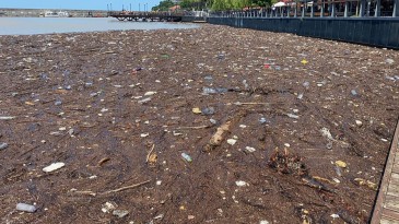 Zonguldak’ta denize sürüklenen atıklar limanda kirliliğe yol açtı!