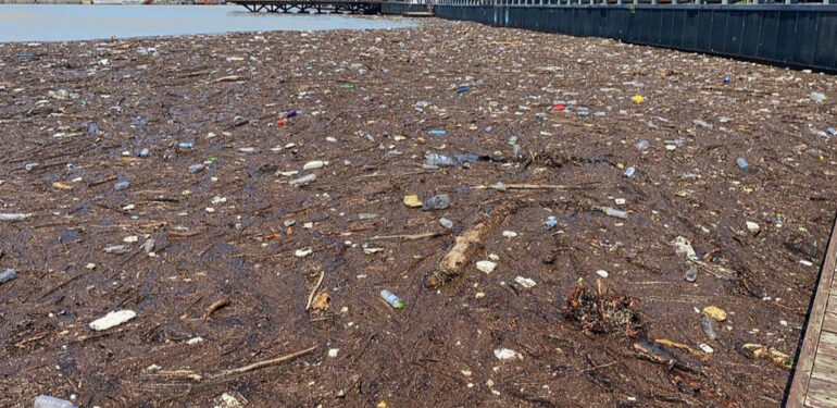 Zonguldak’ta denize sürüklenen atıklar limanda kirliliğe yol açtı!
