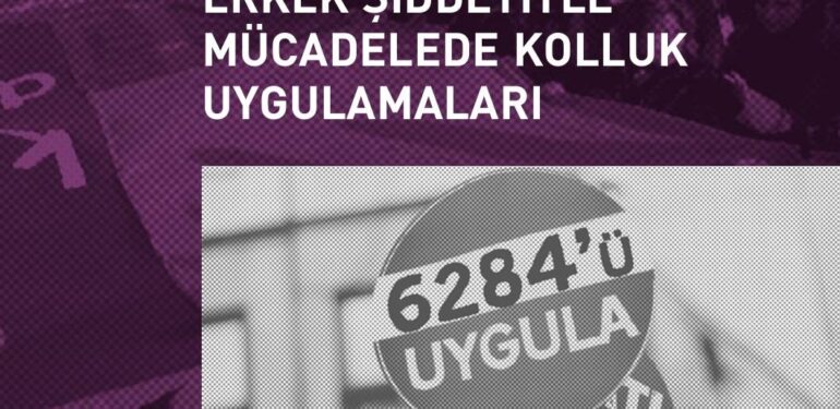 Mor Çatı Kadın Sığınağı Vakfı raporu yayımlandı