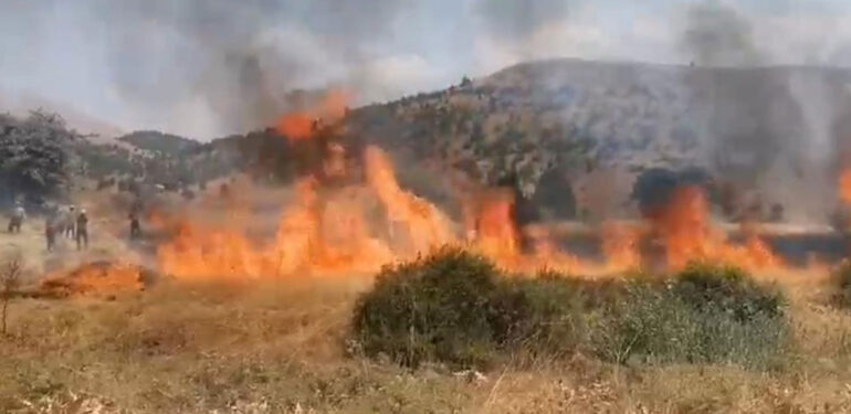 Adana’da 8 dönüm buğday hasat edilemeden yandı