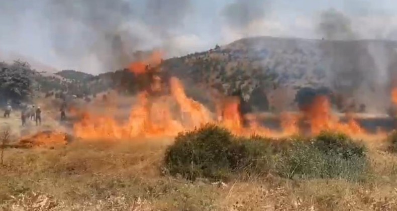 Adana’da 8 dönüm buğday hasat edilemeden yandı
