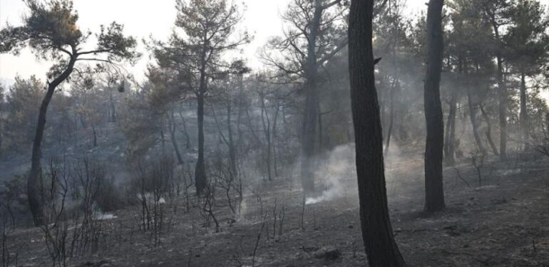 Çanakkale ve Eskişehir’deki orman yangınları kontrol altında