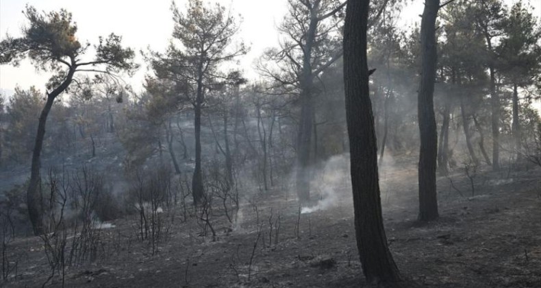 Çanakkale ve Eskişehir’deki orman yangınları kontrol altında