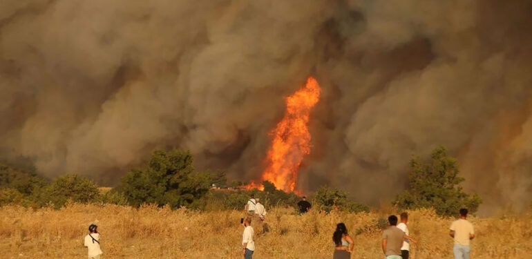 Çanakkale’deki orman yangınında son durum