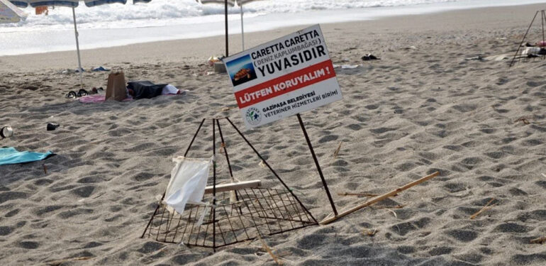 Caretta caretta yuvasının üzerinde mangal yakanların kimliği belli oldu