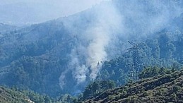 Hatay’da orman yangını çıktı