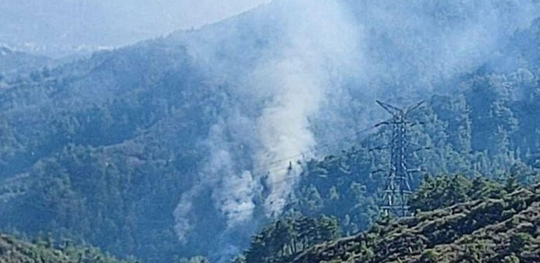 Hatay’da orman yangını çıktı