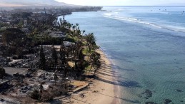 Hawaii’deki orman yangınları sonrası 1000’den fazla kişiden haber alınamıyor