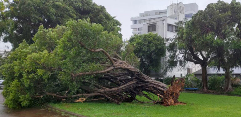 Japonya’yı Khanun Tayfunu vurdu: 1 ölü, 22 yaralı