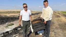 Kahramanmaraş’ta 150 arı kovanı yandı, arılar telef oldu