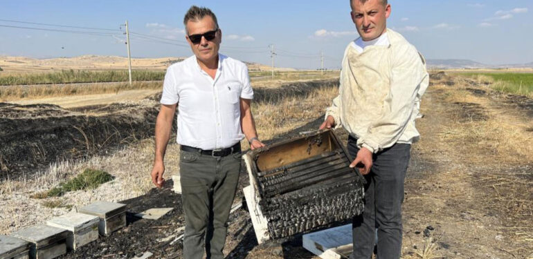 Kahramanmaraş’ta 150 arı kovanı yandı, arılar telef oldu