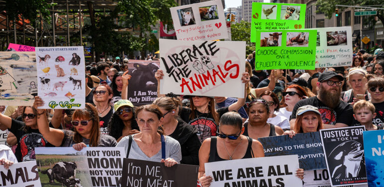 New York’ta vegan eylemi