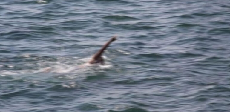 Şanlıurfa’da sulama kanalına giren 12 yaşındaki çocuk yaşamını yitirdi