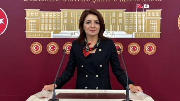CHP’li Kış: Kadınlar güçlenirse Türkiye güçlenir
