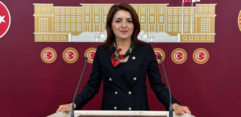 CHP’li Kış: Kadınlar güçlenirse Türkiye güçlenir