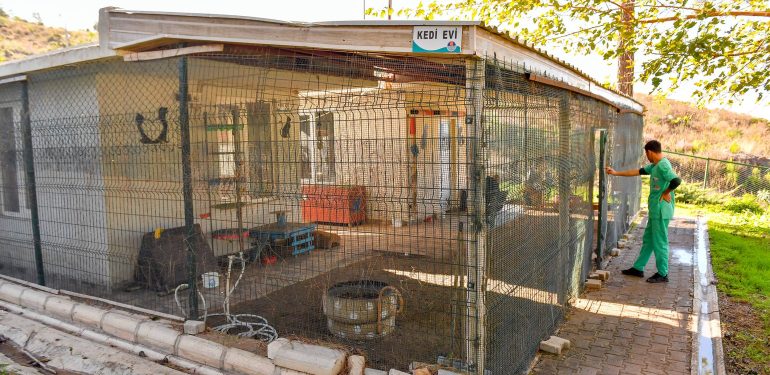 Bozyazı Bakımevi 3 İlçenin Sokak Hayvanlarına Ev Sahipliği Yapıyor