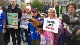 Aydın’da Hayvanseverler  30 Köpek ve Üç Tilkinin Katledilmesini Protesto Etti