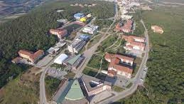 Mürekkep Balıkları ile Mikro Alglerden Elde Edilen Pigmentlerden Güneş Kremi Üretilecek