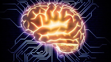 İnsan Beyni İle Aynı Ölçekte İşlem Yapabilme Kapasitesine Sahip İlk Süper Bilgisayar Duyuruldu