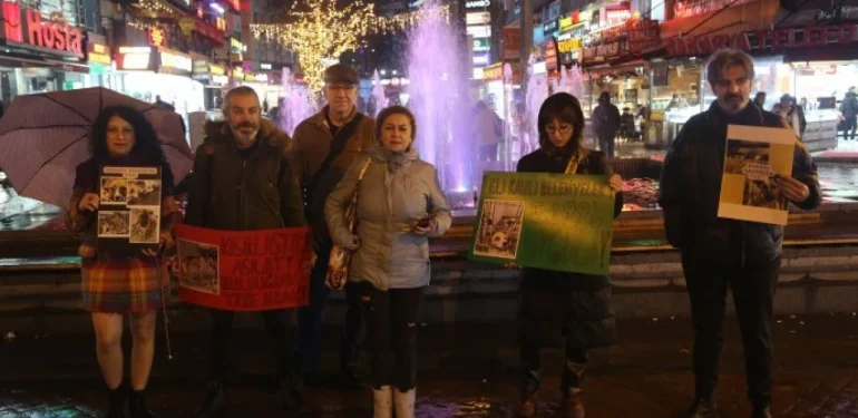 Ankara’da Sokak Hayvanları İçin Eylem: Bu Bir Cinayettir