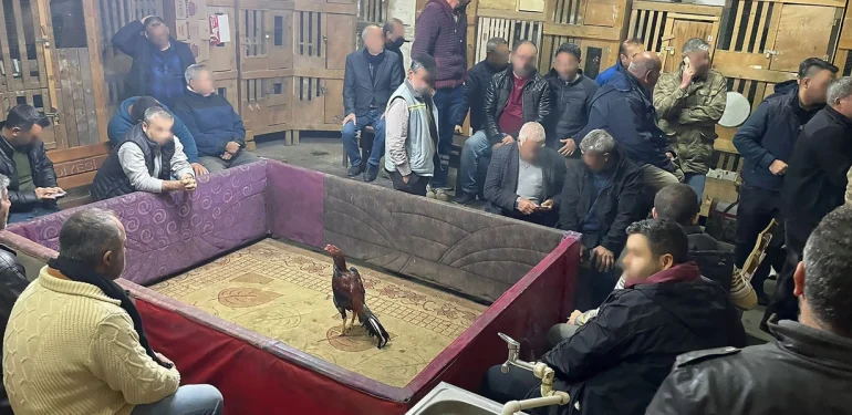Adana’da Horoz Dövüştürenlere Sadece Para Cezası