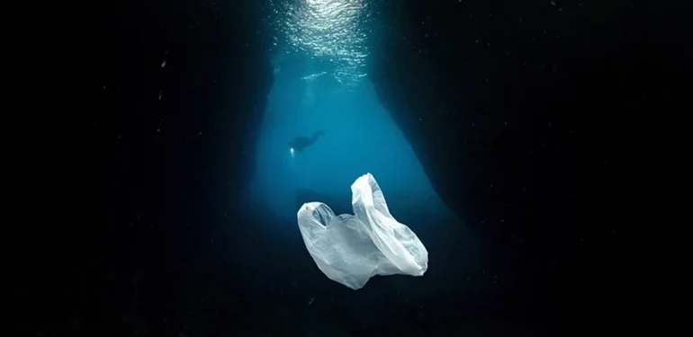 Akdeniz’de Plastik Kirliliği Alarm Veriyor