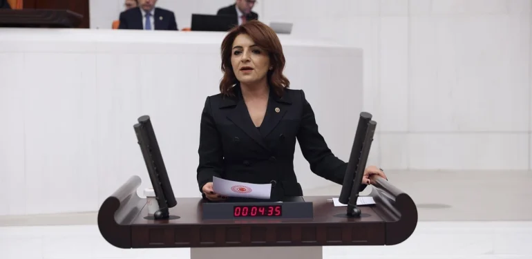 CHP Mersin Milletvekili Kış Emeklilerin Sorunlarını Meclise Taşıdı