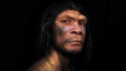 Neandertaller Bizim Gibi Konuşabiliyor muydu?