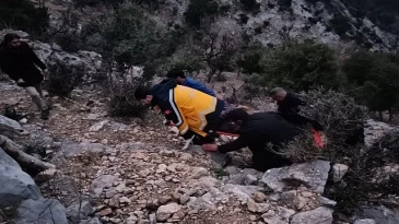 Adana’da Bir Kişi Dal Kesmek İçin Çıktığı Ağaçta Kalp Krizi Geçirdi