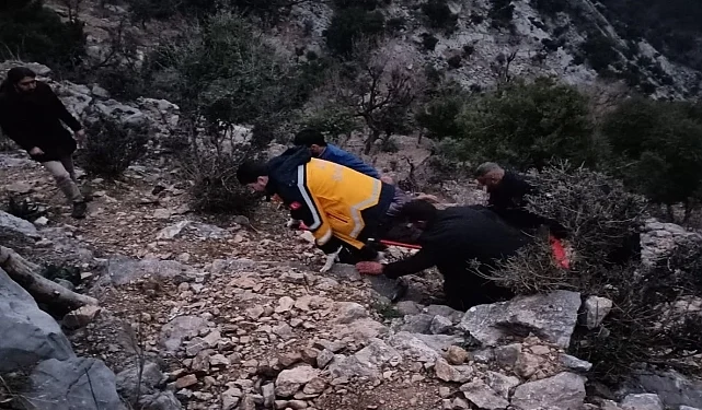 Adana’da Bir Kişi Dal Kesmek İçin Çıktığı Ağaçta Kalp Krizi Geçirdi