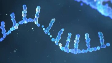 Kanser Üzerine Yeni Buluş: mRNA Aşısı