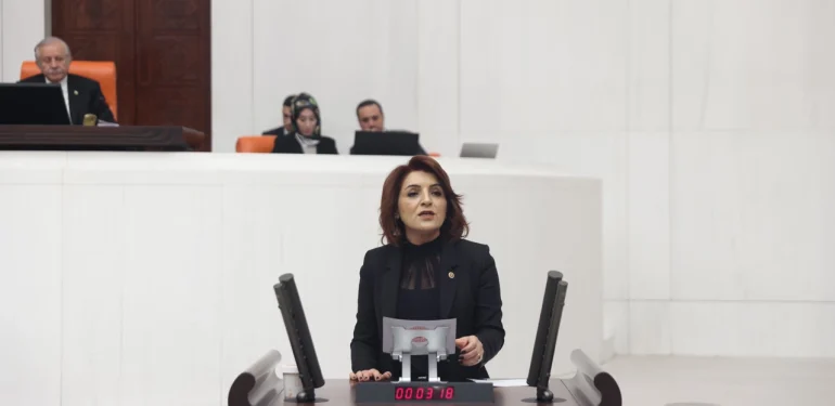 CHP Milletvekili Gücan Kış: “Zeytinyağı Fabrikasına Bile Seçmen Kaydı Yapılmış”