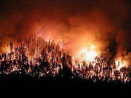 Avusturalya’da Orman Yangını Meydana Geldi