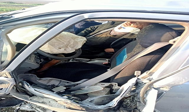 Adana’da Refüjteki Ağaca Otomobil Çarptı: 2 Yaralı