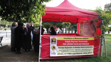 Adana’da Hayvan Hakları Çağrı Masası kuruldu