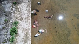 Adana’da sulama kanalında at ve eşeklere ait kemiklere rastlandı