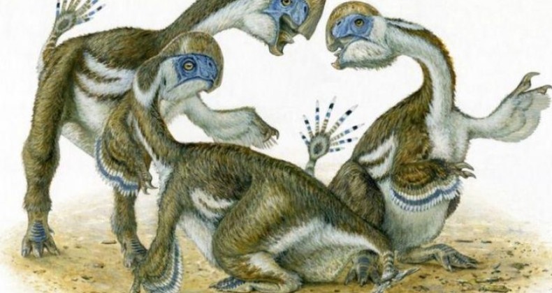 Gobi Çölü’nde dişsiz bir dinozor türü keşfedildi