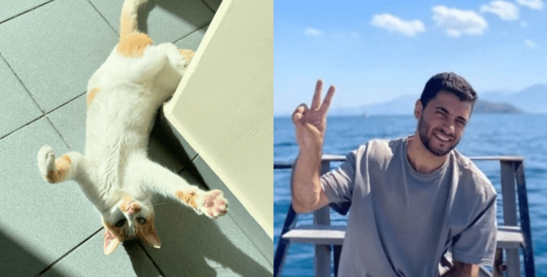 Kedi Faruk’u camdan atan Ferhat Atan gözaltına alındı