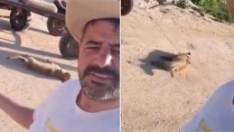 Gaziantep’te Mehmet H. öldürdüğü köpeği at arabasıyla sürükledi