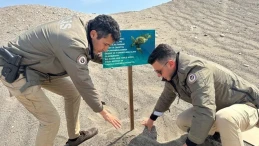 Mersin’den caretta carettaların üreme alanlarına uyarı levhaları