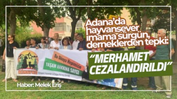 Adana’da hayvansever imama sürgün, derneklerden tepki: “Merhamet cezalandırıldı”