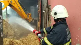 Adana’da ahır yangını: 15 hayvan hayatını kaybetti