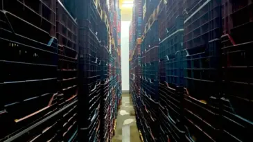 İki depoda 380 ton kaçak limon ele geçirildi